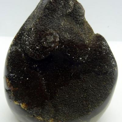 Septaria sauvage 3C