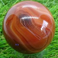 Sphecorna283